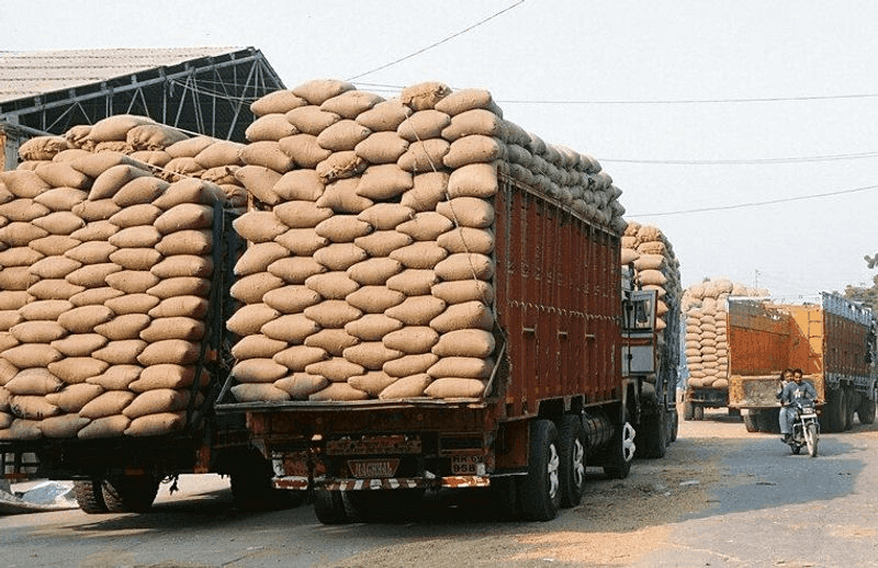 Rice Export 5