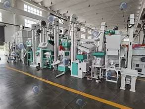 Rice Processing